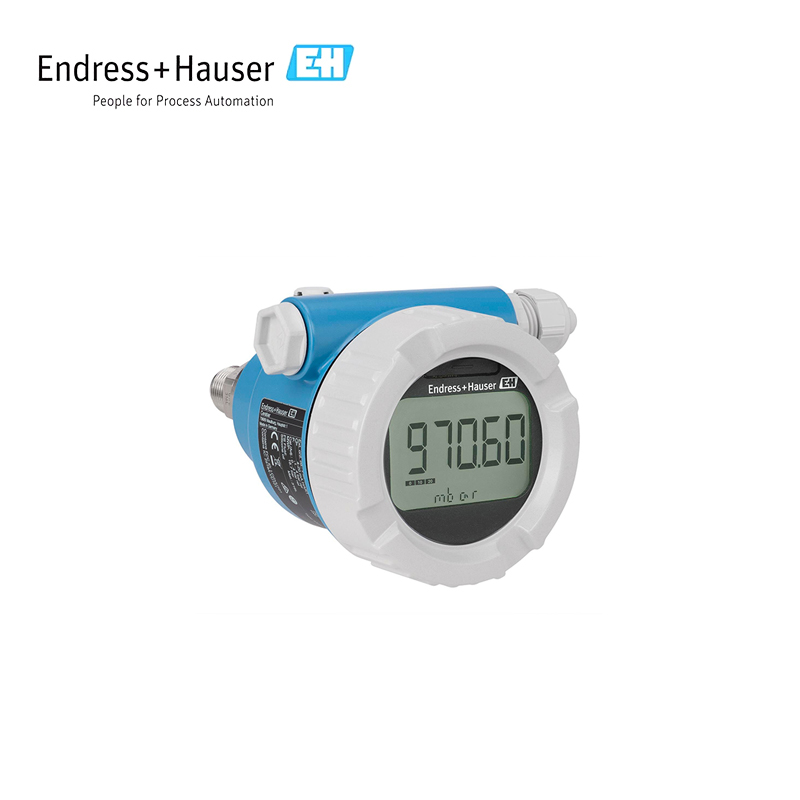 Endress Hauser PMC51B Pressure transmitter