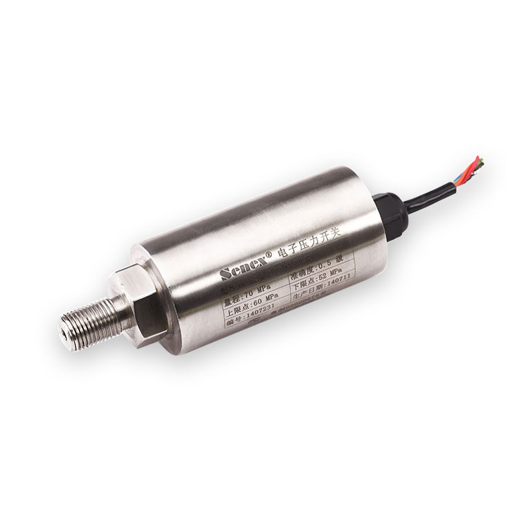 SENEX DG1300-DK electronic pressure switch