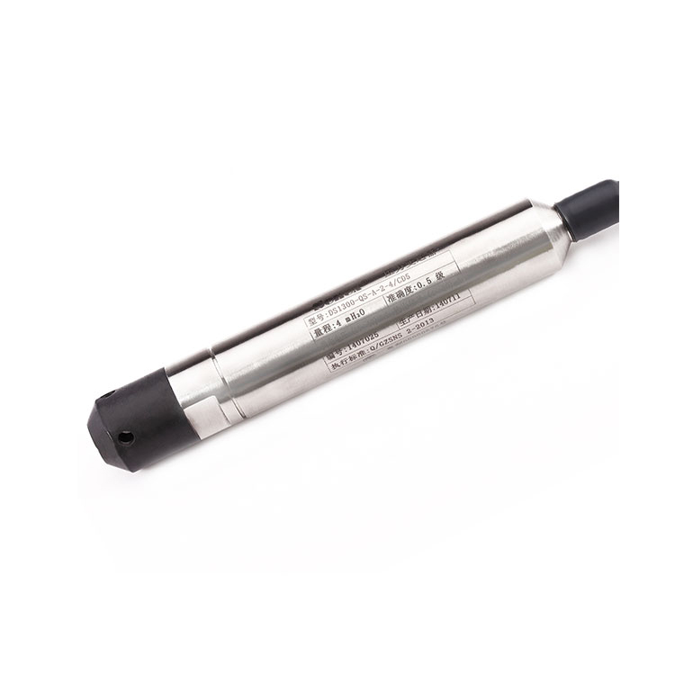 SENEX DG1300-QS submersible pressure sensor